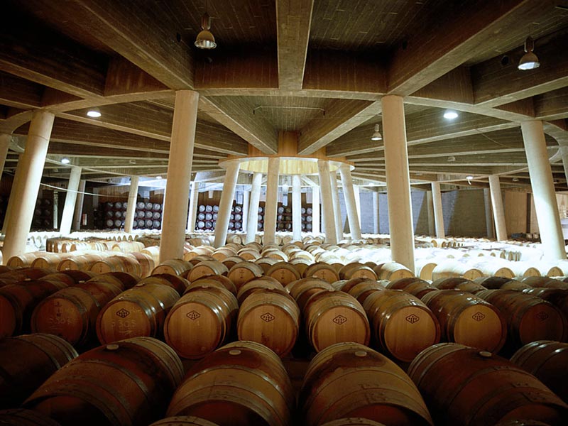 46.-bodega-cvne