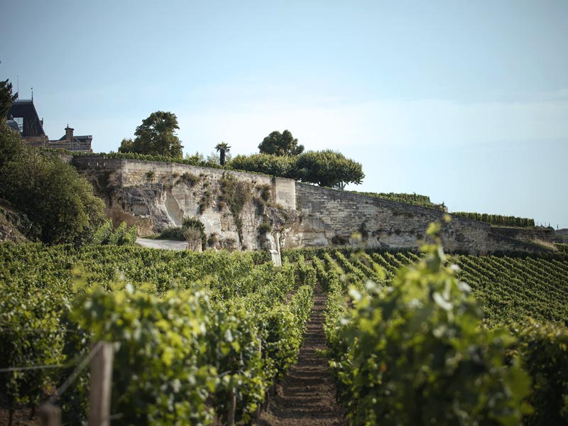 54.-chateau-ausone