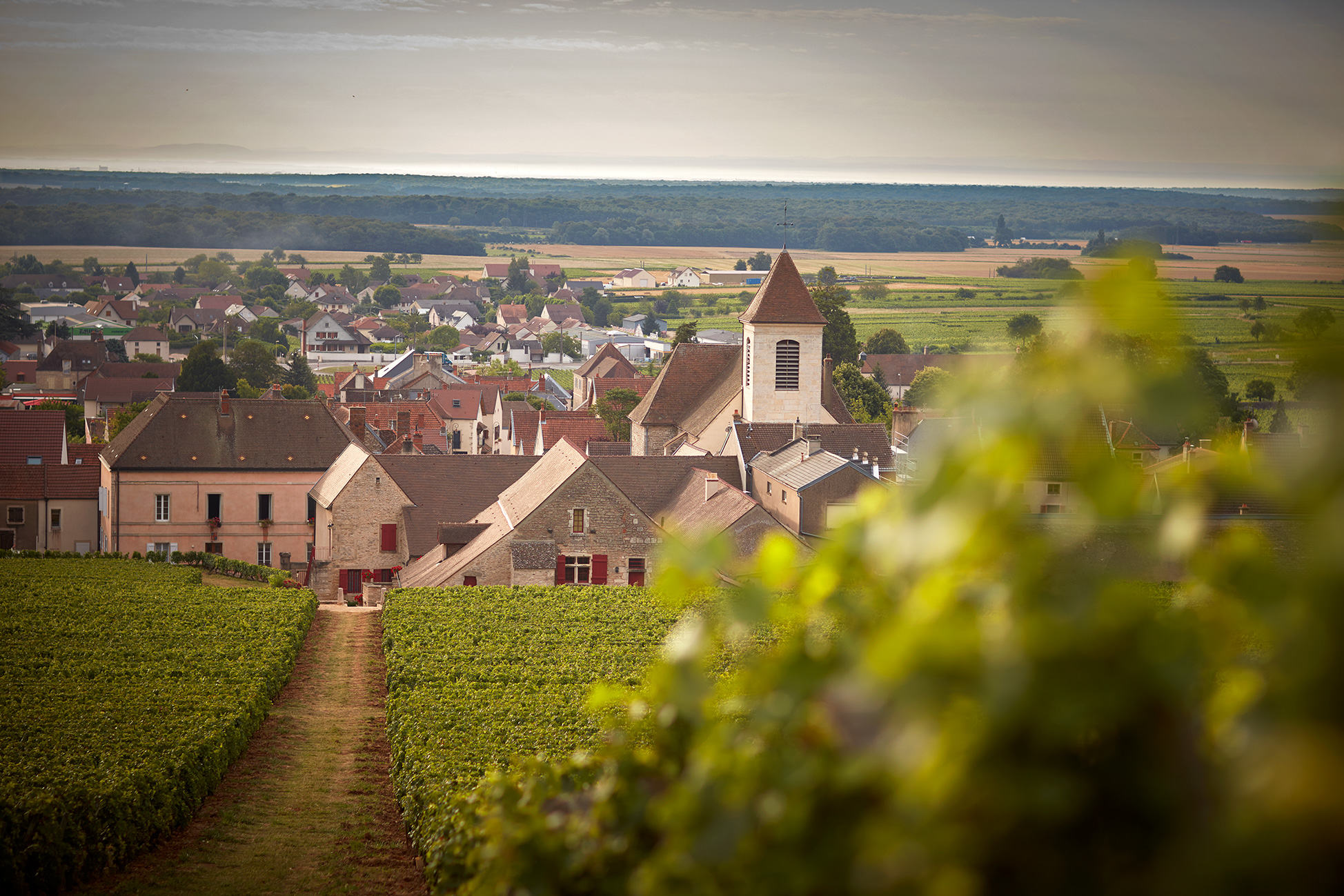Clos de Tart by S.Chapuis