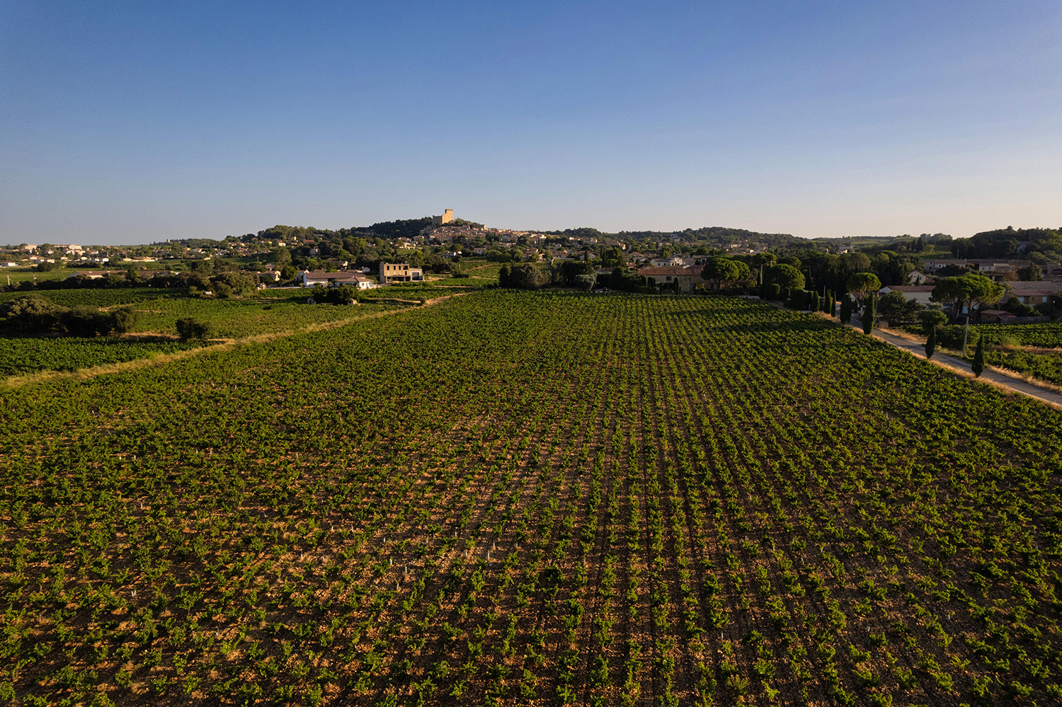 CLOS DES PAPES chateauneuf